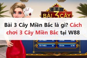 bai-3-cay-mien-bac-w88-5