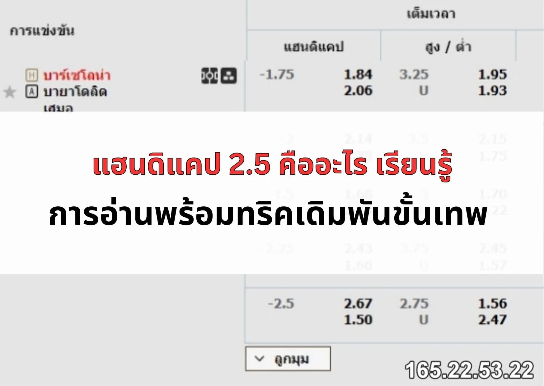 แฮนดิแคป-2-5-04